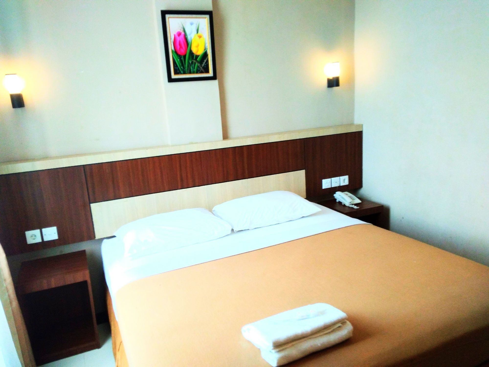 Parma Paus Hotel 2*